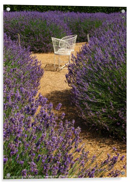 Love seat amongst lavender Acrylic by Nik Taylor