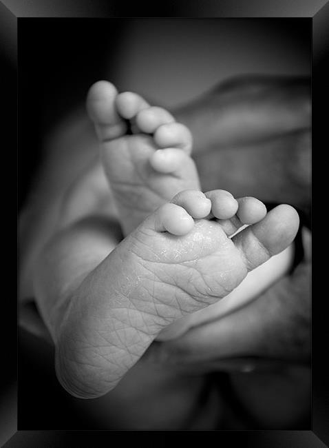 Baby feet. Framed Print by K. Appleseed.