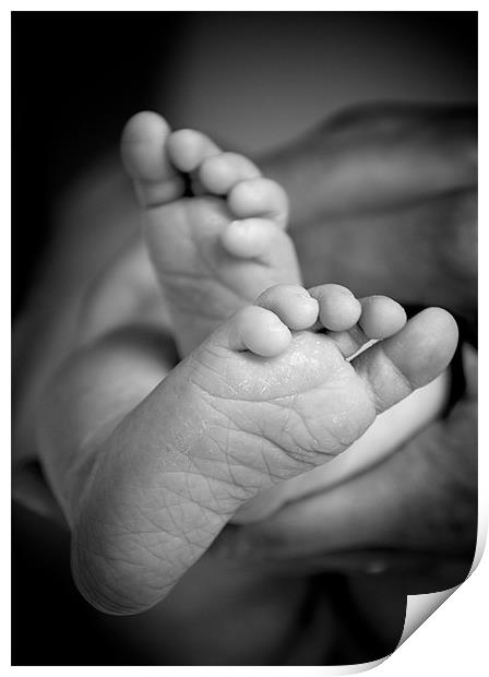 Baby feet. Print by K. Appleseed.