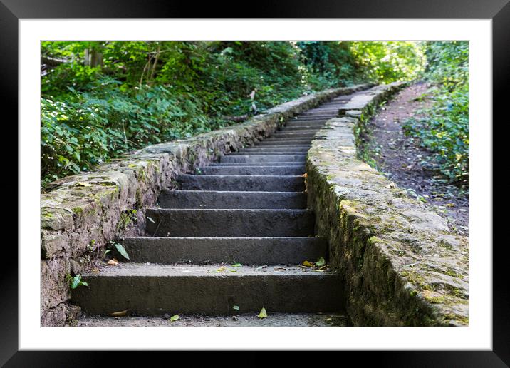 Steps to Ewloe Castle Framed Mounted Print by Jason Wells