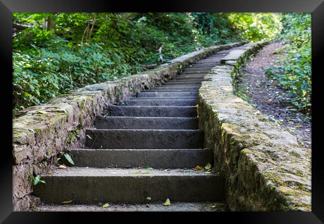 Steps to Ewloe Castle Framed Print by Jason Wells