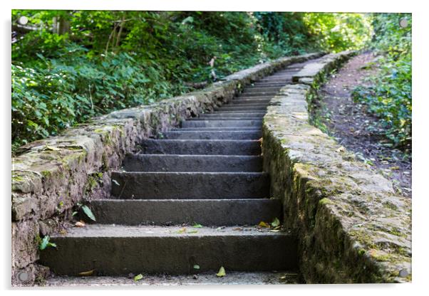 Steps to Ewloe Castle Acrylic by Jason Wells
