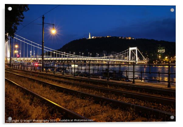 A view of Liberty Bridge, Danube River, Gillert Hill, across railway lines Acrylic by SnapT Photography