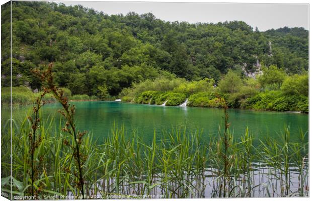 A view of a green lake over reeds with a waterfall in the background Canvas Print by SnapT Photography