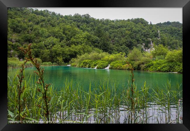 A view of a green lake over reeds with a waterfall in the background Framed Print by SnapT Photography