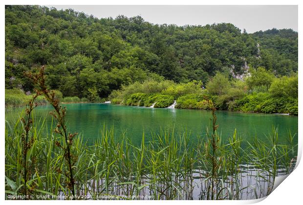 A view of a green lake over reeds with a waterfall in the background Print by SnapT Photography