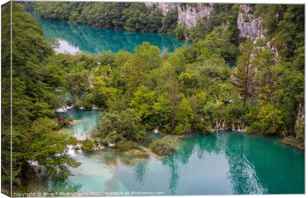 Water flowing through submerged trees between two lakes at Plitvice Lakes Canvas Print by SnapT Photography