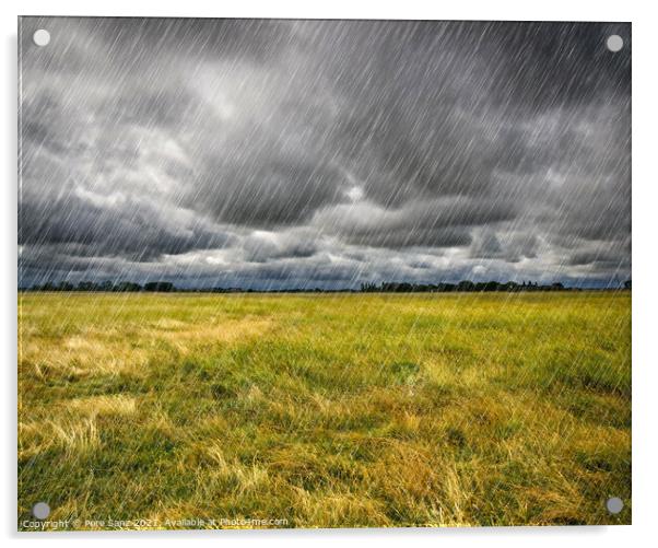 Heavy Rain over a prairie in Brittany, France Acrylic by Pere Sanz