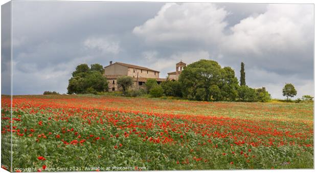 Poppies field around a rural country house in Catalonia Canvas Print by Pere Sanz