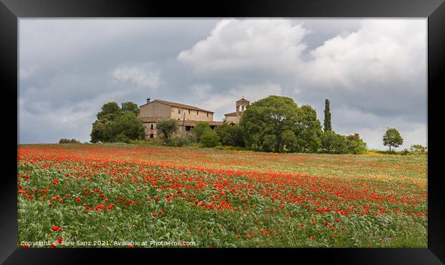 Poppies field around a rural country house in Catalonia Framed Print by Pere Sanz