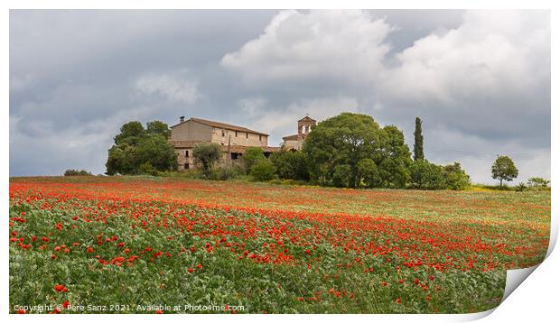 Poppies field around a rural country house in Catalonia Print by Pere Sanz