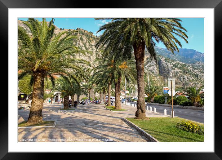 Palm tree lined pavement or sidewalk beside the harbour in Kotor, Montenegro Framed Mounted Print by SnapT Photography