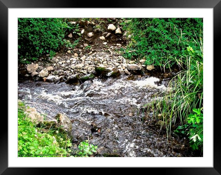 Stream  Framed Mounted Print by Stephanie Moore