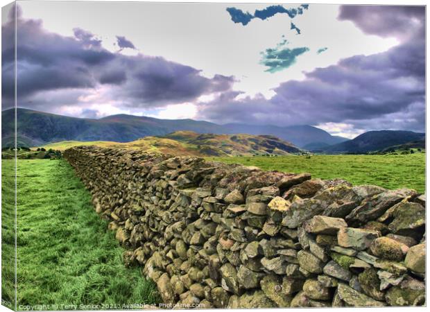Drystone Wall in Cumbria Lake District  Canvas Print by Terry Senior