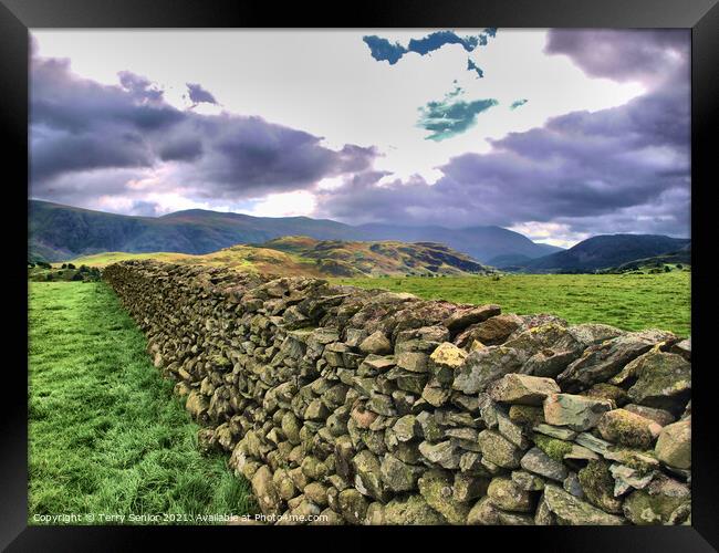 Drystone Wall in Cumbria Lake District  Framed Print by Terry Senior