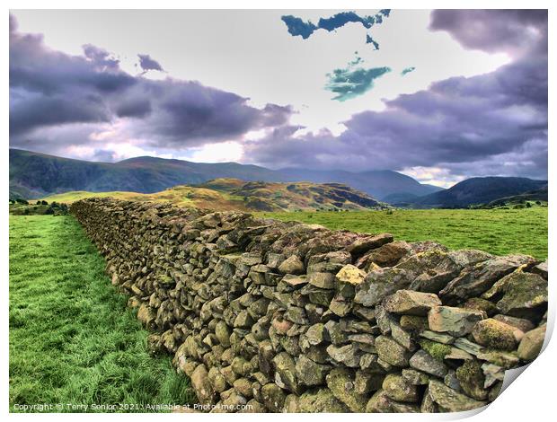 Drystone Wall in Cumbria Lake District  Print by Terry Senior