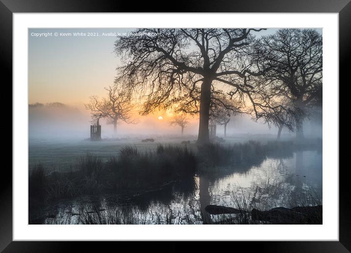 Magical light Framed Mounted Print by Kevin White
