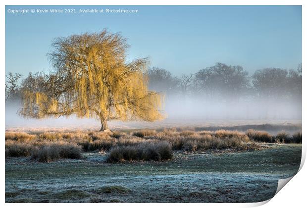 Fresh morning light Print by Kevin White