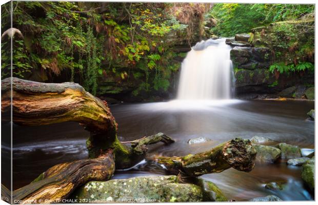 Thomason foss waterfall in the Yorkshire moors. 34 Canvas Print by PHILIP CHALK