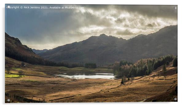 Blea Tarn with Langdale Pikes Behind Lake District Acrylic by Nick Jenkins