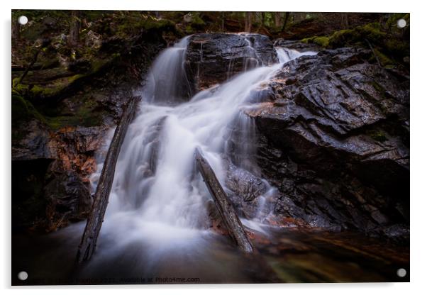 Small waterfall in the forest Acrylic by Chuck Koonce