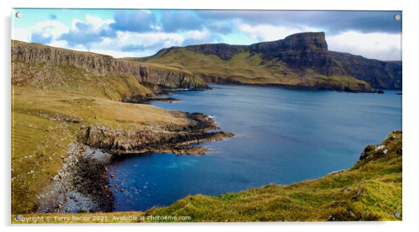Moonen Bay, on the west coast of the Isle of Skye Acrylic by Terry Senior