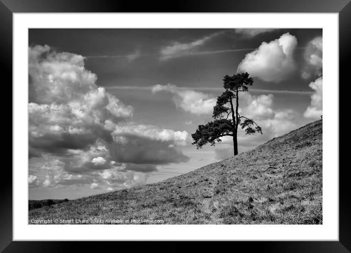 Lone tree on a hill Framed Mounted Print by Travel and Pixels 