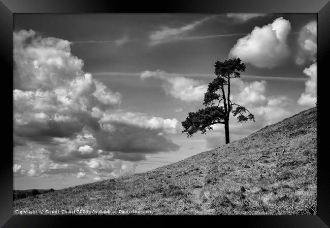 Lone tree on a hill Framed Print by Stuart Chard