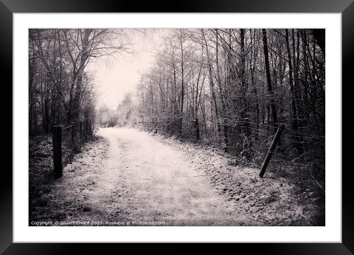 Mysterious winter forest snow path Framed Mounted Print by Travel and Pixels 