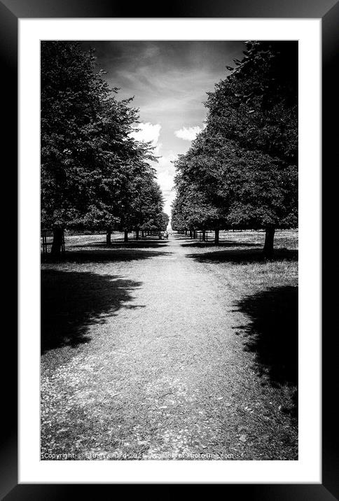 Tree lined pathway Framed Mounted Print by Travel and Pixels 