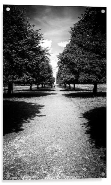 Tree lined pathway Acrylic by Stuart Chard