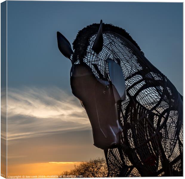 War Horse Canvas Print by kevin cook