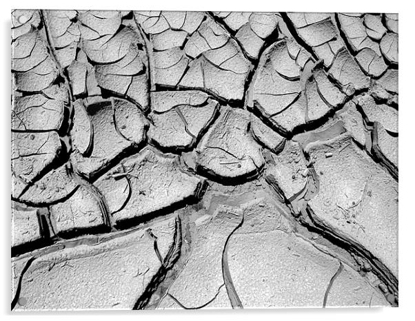 Scorched Earth, Page, Arizona Acrylic by Jay Huckins