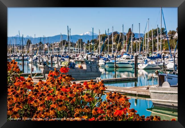 Flowers in Front of Marina and Mountain Framed Print by Darryl Brooks