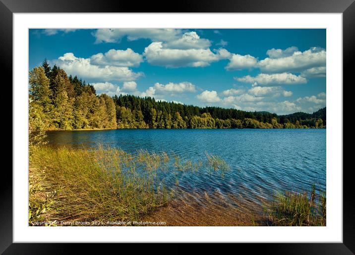 Evergreens Around Peaceful Lake Framed Mounted Print by Darryl Brooks