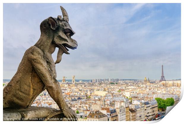 Paris from the Notre Dame de Paris  Print by Colin Woods