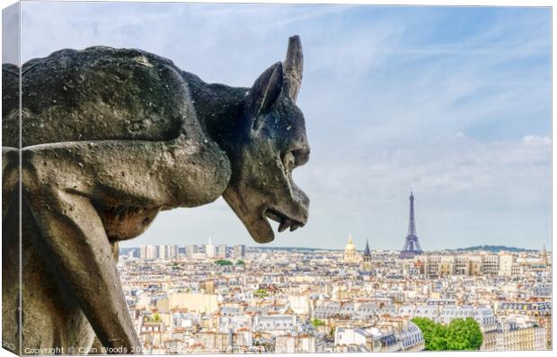 Paris from the Notre Dame de Paris tower Canvas Print by Colin Woods