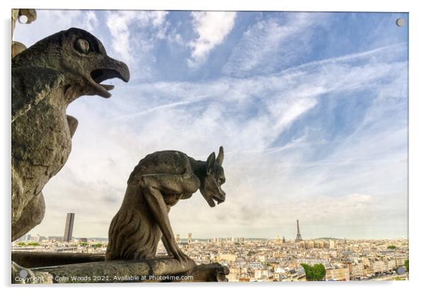 Paris from the Notre Dame de Paris tower Acrylic by Colin Woods
