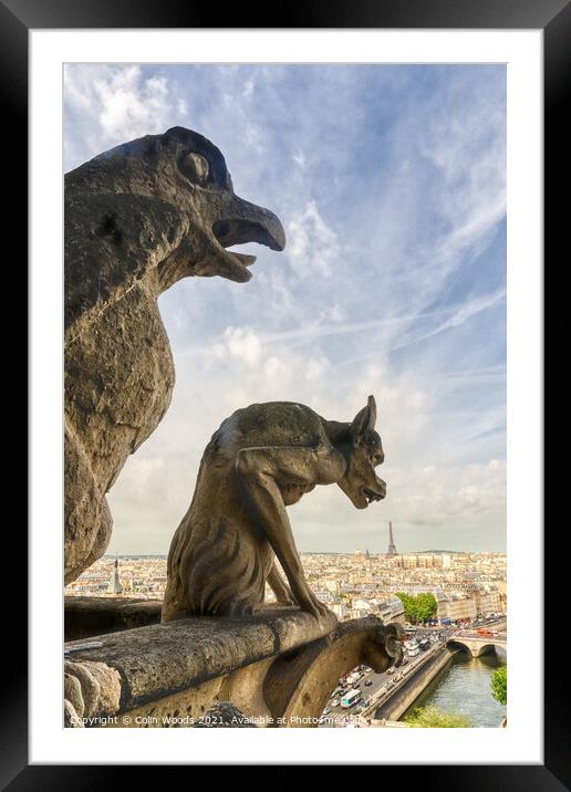Paris from the Notre Dame de Paris tower Framed Mounted Print by Colin Woods