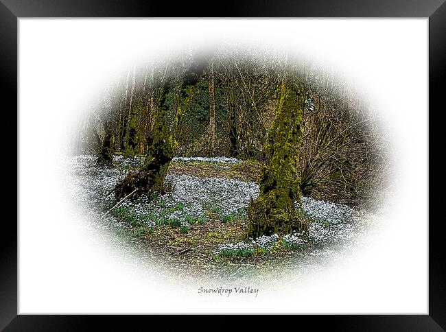Enchanting forest of snowdrops Framed Print by graham young