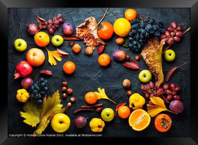 Harvest of autumn fruits Framed Print by Mykola Lunov Mykola