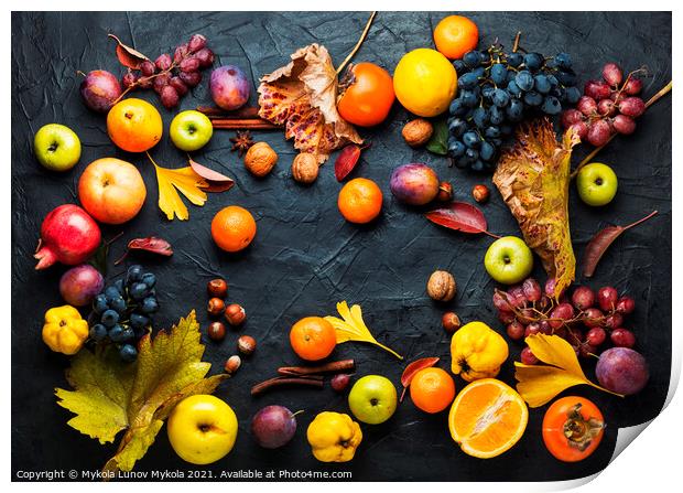 Harvest of autumn fruits Print by Mykola Lunov Mykola
