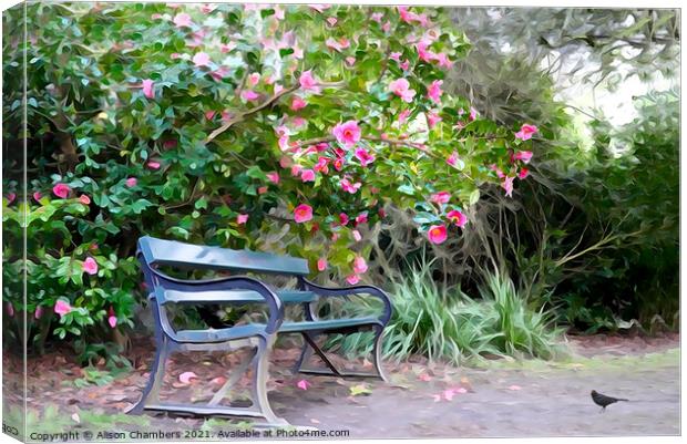 Camellia Bench Canvas Print by Alison Chambers