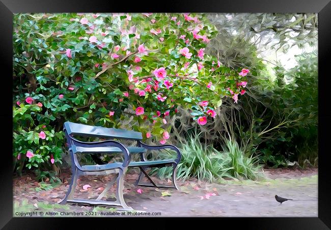 Camellia Bench Framed Print by Alison Chambers
