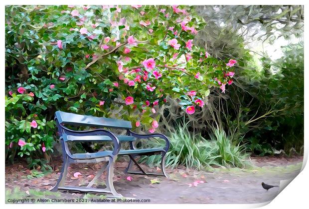 Camellia Bench Print by Alison Chambers