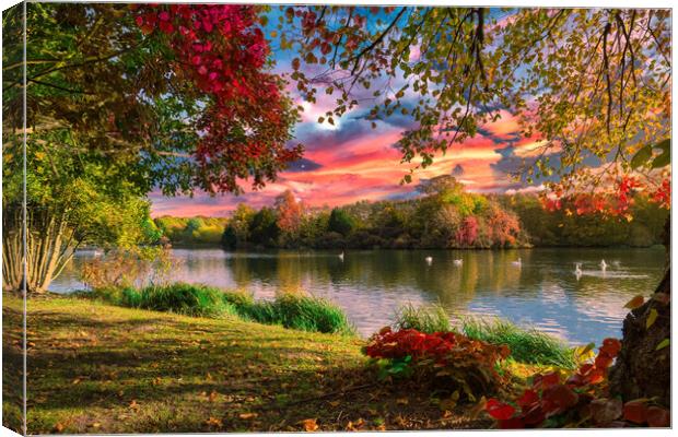 Autumn Lakeside Canvas Print by Darren Ball