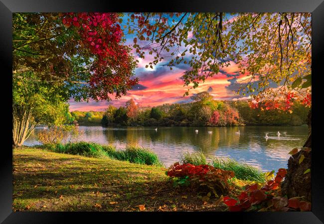 Autumn Lakeside Framed Print by Darren Ball