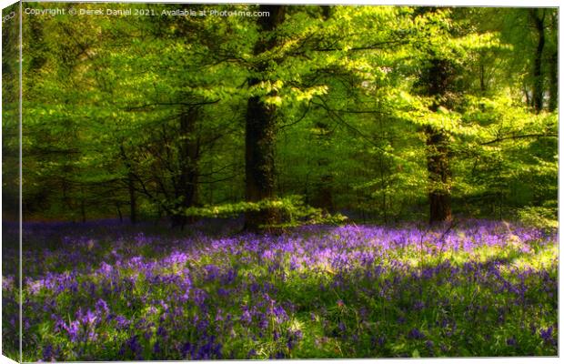 Enchanting Bluebell Woods Canvas Print by Derek Daniel