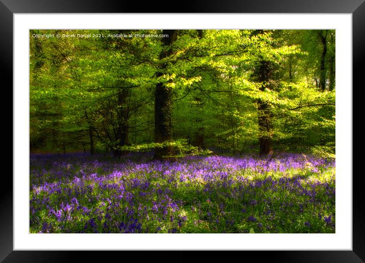 Enchanting Bluebell Woods Framed Mounted Print by Derek Daniel