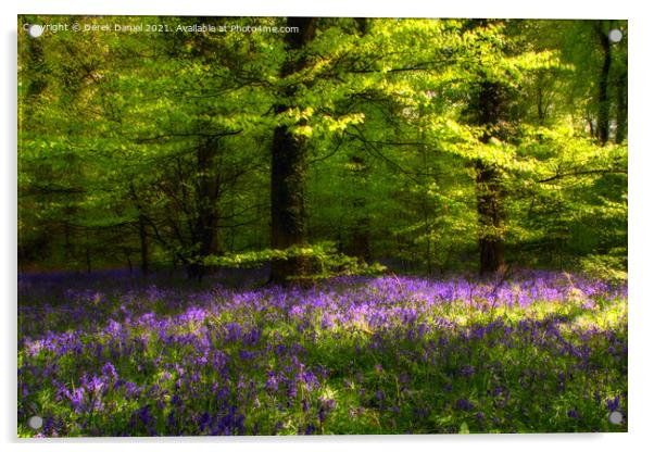 Early morning at the bluebell wood at Micheldever  Acrylic by Derek Daniel